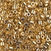 DBL-0031:  24kt Gold Plated 8/0 Miyuki Delica Bead - DBL-0031*
