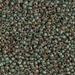 11-4506:  HALF PACK 11/0 Transparent Sea Foam Picasso Miyuki Seed Bead approx 125 grams - 11-4506_1/2pk