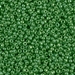 11-480:  HALF PACK 11/0 Opaque Green AB Miyuki Seed Bead approx 125 grams - 11-480_1/2pk