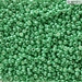 11-5105:  11/0 Duracoat Galvanized Dk Mint Green Miyuki Seed Bead approx 250 grams - 11-5105