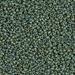 15-2031:  HALF PACK 15/0 Matte Metallic Sage Green Luster  Miyuki Seed Bead approx 125 grams - 15-2031_1/2pk