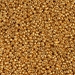 15-4203:  HALF PACK 15/0 Duracoat Galvanized Yellow Gold Miyuki Seed Bead approx 125 grams - 15-4203_1/2pk