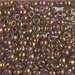 6-2449:  HALF PACK 6/0 Transparent Tea Berry Gold Iris Miyuki Seed Bead approx 125 grams - 6-2449_1/2pk