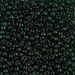 8-156:  HALF PACK 8/0 Transparent Dark Emerald Miyuki Seed Bead approx 125 grams - 8-156_1/2pk