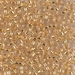 8-195: HALF PACK 8/0 24kt Gold Lined Crystal Miyuki Seed Bead approx 50 grams - 8-195_1/2pk