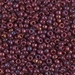 8-313:  HALF PACK 8/0 Cranberry Gold Luster Miyuki Seed Bead approx 125 grams - 8-313_1/2pk