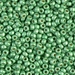 8-4214F:  HALF PACK 8/0 Duracoat Galvanized Matte Dark Mint Green Miyuki Seed Bead approx 125 grams - 8-4214F_1/2pk