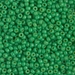 8-4476:  HALF PACK 8/0 Duracoat Dyed Opaque Fiji Green Miyuki Seed Bead approx 125 grams - 8-4476_1/2pk