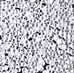BB-131F:  HALF PACK Matte Crystal Miyuki Berry Bead approx 125 grams - BB-131F_1/2pk