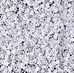 DB0231:  HALF PACK Crystal Ceylon 11/0 Miyuki Delica Bead 50 grams - DB0231_1/2pk