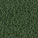 DB0797:  HALF PACK Dyed Semi-Frosted Opaque Jade Green 11/0 Miyuki Delica Bead 50 grams - DB0797_1/2pk