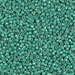 DB1182:  HALF PACK Galvanized Semi-Frosted Dark Mint 11/0 Miyuki Delica Bead 50 grams - DB1182_1/2pk