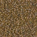 DB1738:  HALF PACK Cocoa Lined Chartreuse AB 11/0 Miyuki Delica Bead 50 grams - DB1738_1/2pk
