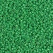 DB2126:  HALF PACK Duracoat Dyed Opaque Fiji Green 11/0 Miyuki Delica Bead 50 grams - DB2126_1/2pk