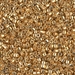 DBM0410:  HALF PACK Galvanized Yellow Gold 10/0 Miyuki Delica Bead 50 grams - DBM0410_1/2pk