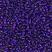 DBM0610:  HALF PACK Dyed Silverlined Dark Violet 10/0 Miyuki Delica Bead 50 grams - DBM0610_1/2pk