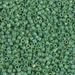 DBM0877:  HALF PACK Matte Opaque Green AB 10/0 Miyuki Delica Bead 50 grams - DBM0877_1/2pk