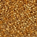 DBM1833:  HALF PACK Duracoat Galvanized Yellow Gold 10/0 Miyuki Delica Bead 50 grams - DBM1833_1/2pk