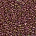 11-301:  11/0 Dark Topaz Rainbow Gold Luster Miyuki Seed Bead - 11-301*