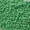 11-5105:  11/0 Duracoat Galvanized Dk Mint Green Miyuki Seed Bead 