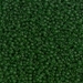15-1611:  15/0 Dyed Semi-Frosted Transparent Olive Miyuki Seed Bead - 15-1611*