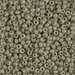 8-4474:  8/0 Duracoat Dyed Opaque Cactus Miyuki Seed Bead - 8-4474*