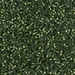 DBS0182:  Silverlined Jade Green 15/0 Miyuki Delica Bead - DBS0182*