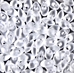 LMA-131F:  Miyuki 4x7mm Long Magatama Matte Transparent Crystal approx 250 grams - LMA-131F