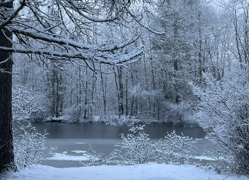 maine winter